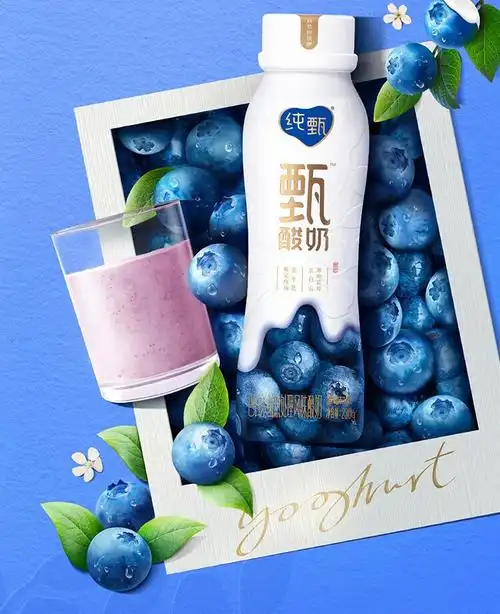 纯甄甄酸奶蓝莓味风味酸牛乳PET瓶230g*10瓶（礼盒装）