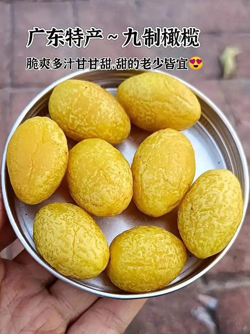 维巧臻品九制橄榄80g